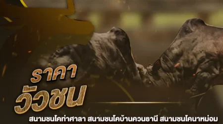 ราคาวัวชน 21 พฤศจิกายน 2567