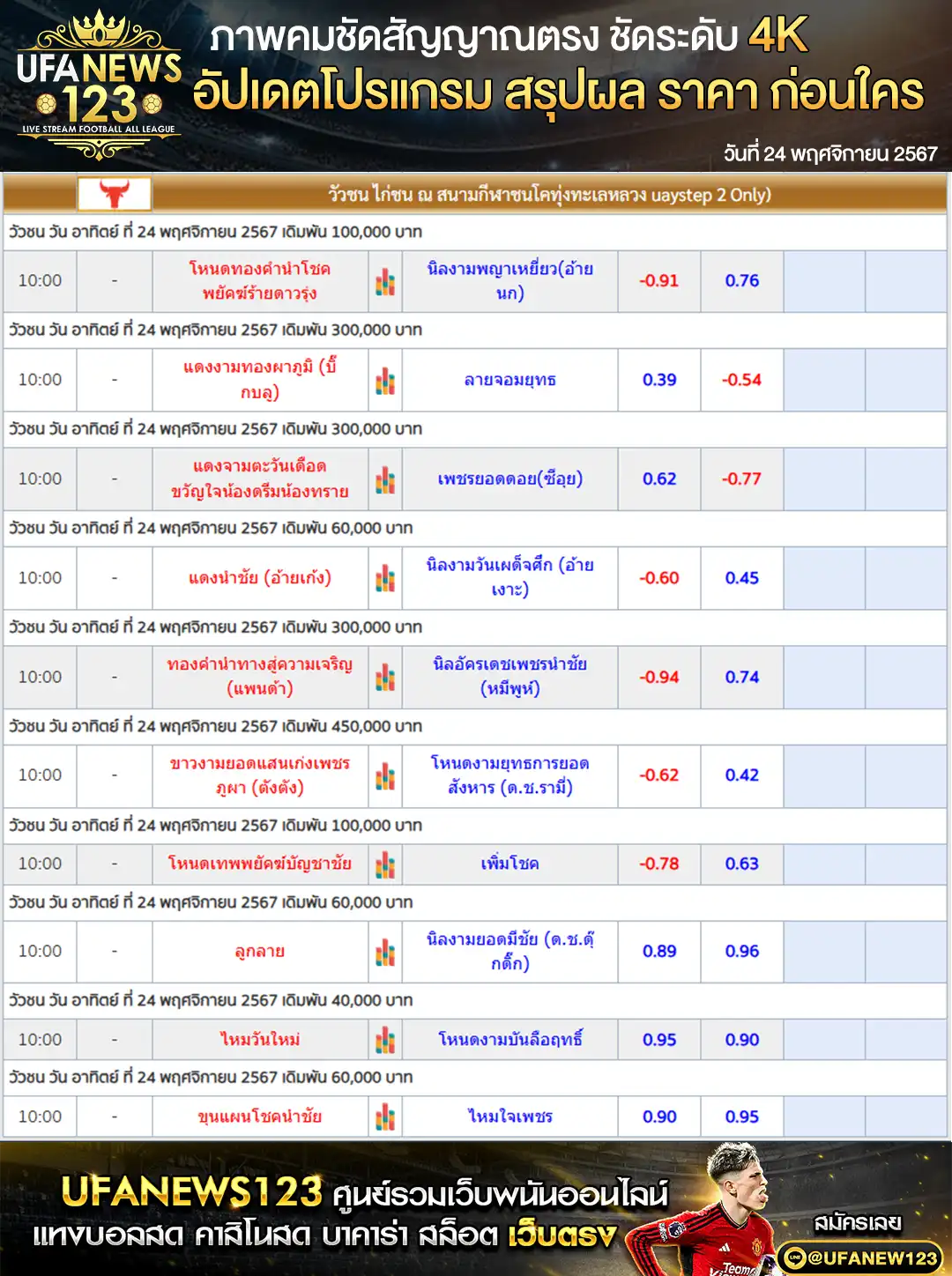 ราคาวัวชน สนามชนโคทุ่งทะเลหลวง เริ่มชนเวลา 10.30 น. 24 พฤศจิกายน 2567