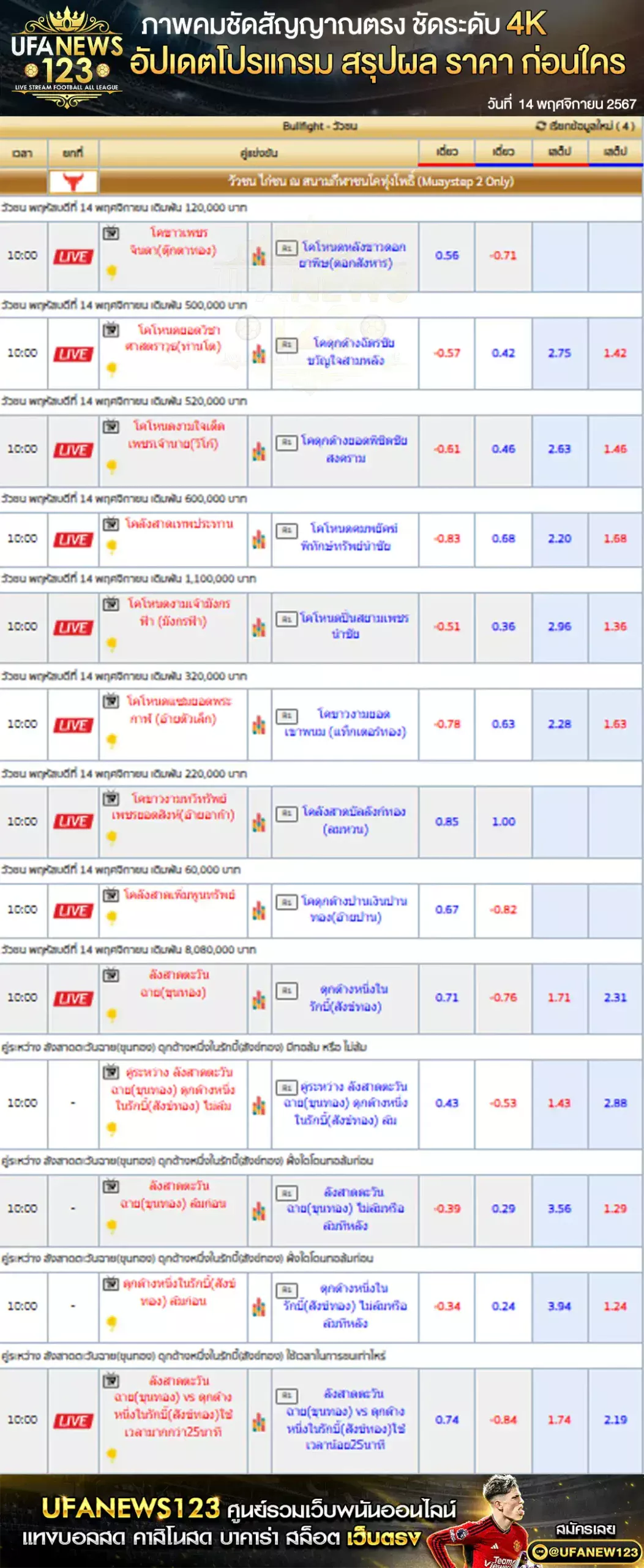 ราคาวัวชน สนามชนโคทุ่งโพธิ์สเตเดียม เริ่มเวลา 10:00 น. 14 พฤศจิกายน 2567