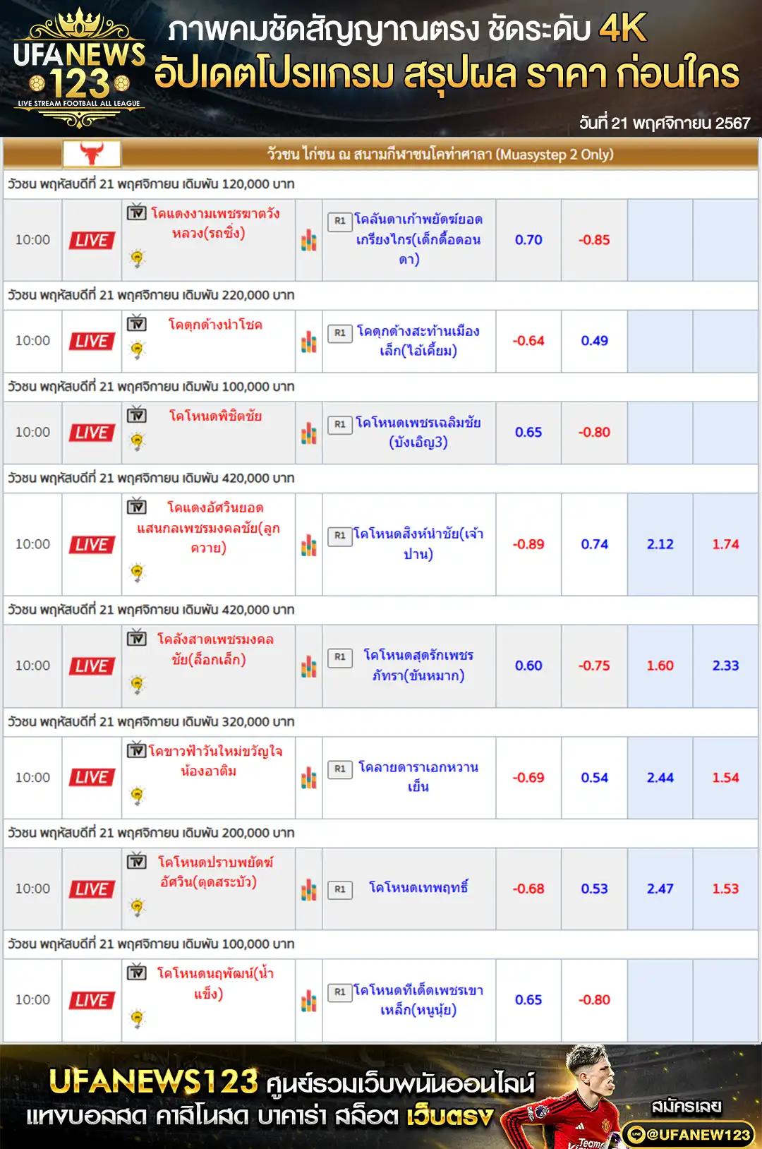 ราคาวัวชน สนามชนโคท่าศาลา เริ่มชนเวลา 10.00 น. 21 พฤศจิกายน 2567