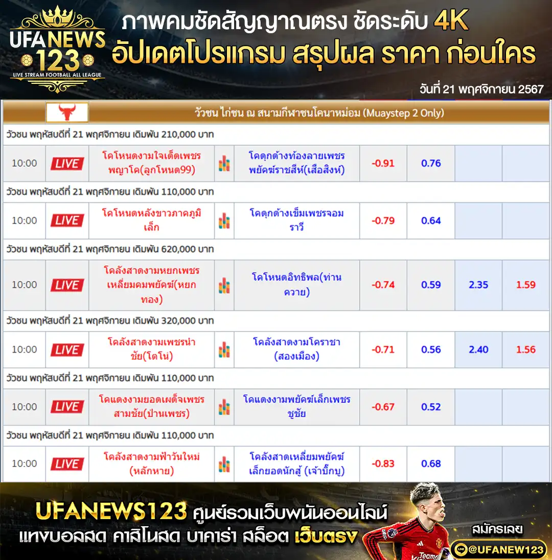 ราคาวัวชน สนามชนโคนาหม่อม เริ่มชนเวลา 11.00 น. 21 พฤศจิกายน 2567