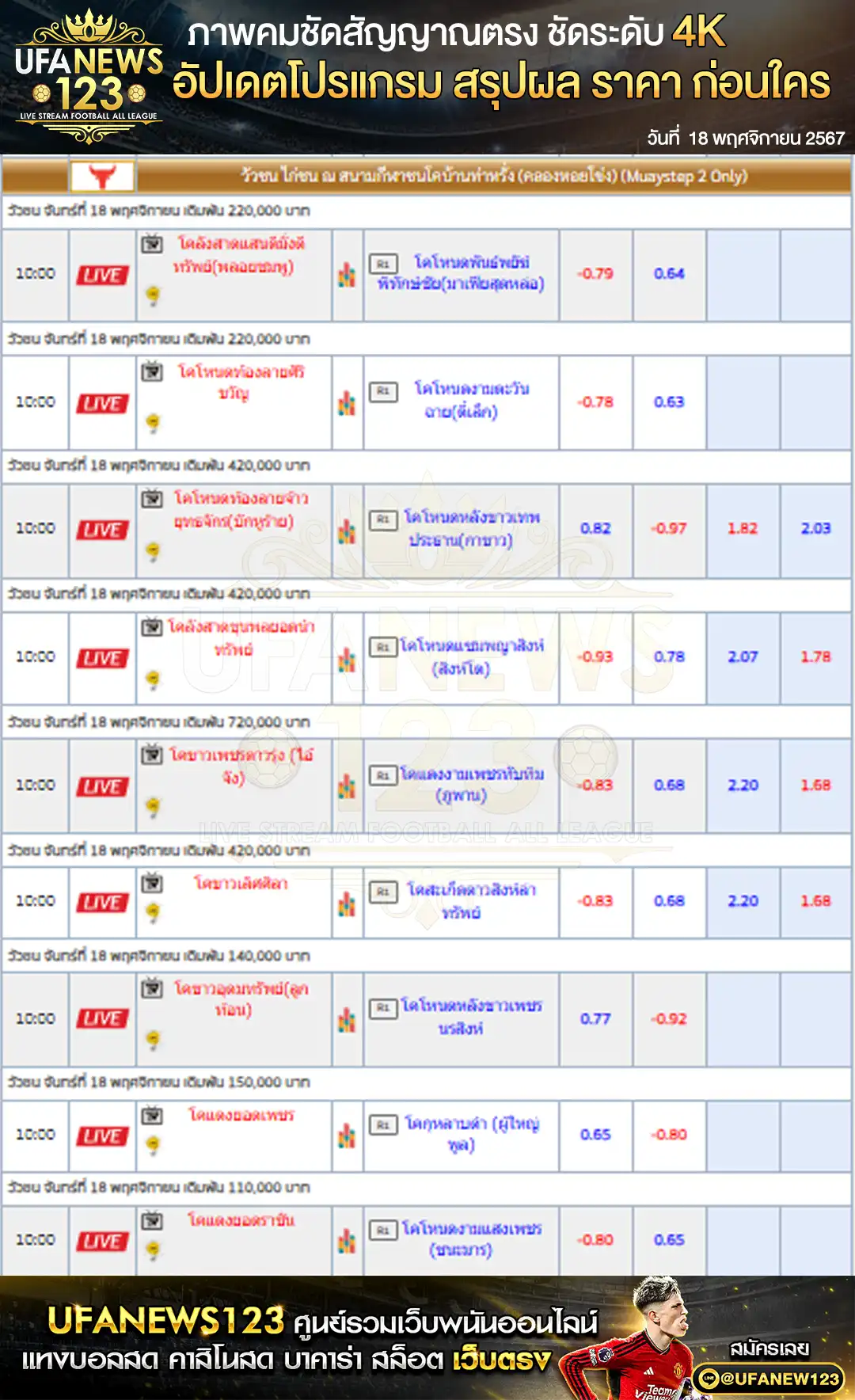 ราคาวัวชน สนามชนโคบ้านท่าหรั่ง เริ่มชนเวลา 10:30 น. 18 พฤศจิกายน 2567