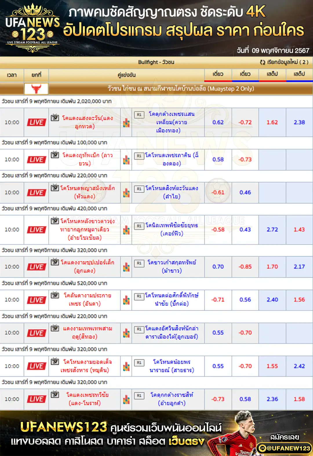 ราคาวัวชน สนามกีฬาชนโคบ้านบ่อล้อ เริ่มชนเวลา 10:00 น. 09  พฤศจิกายน 2567