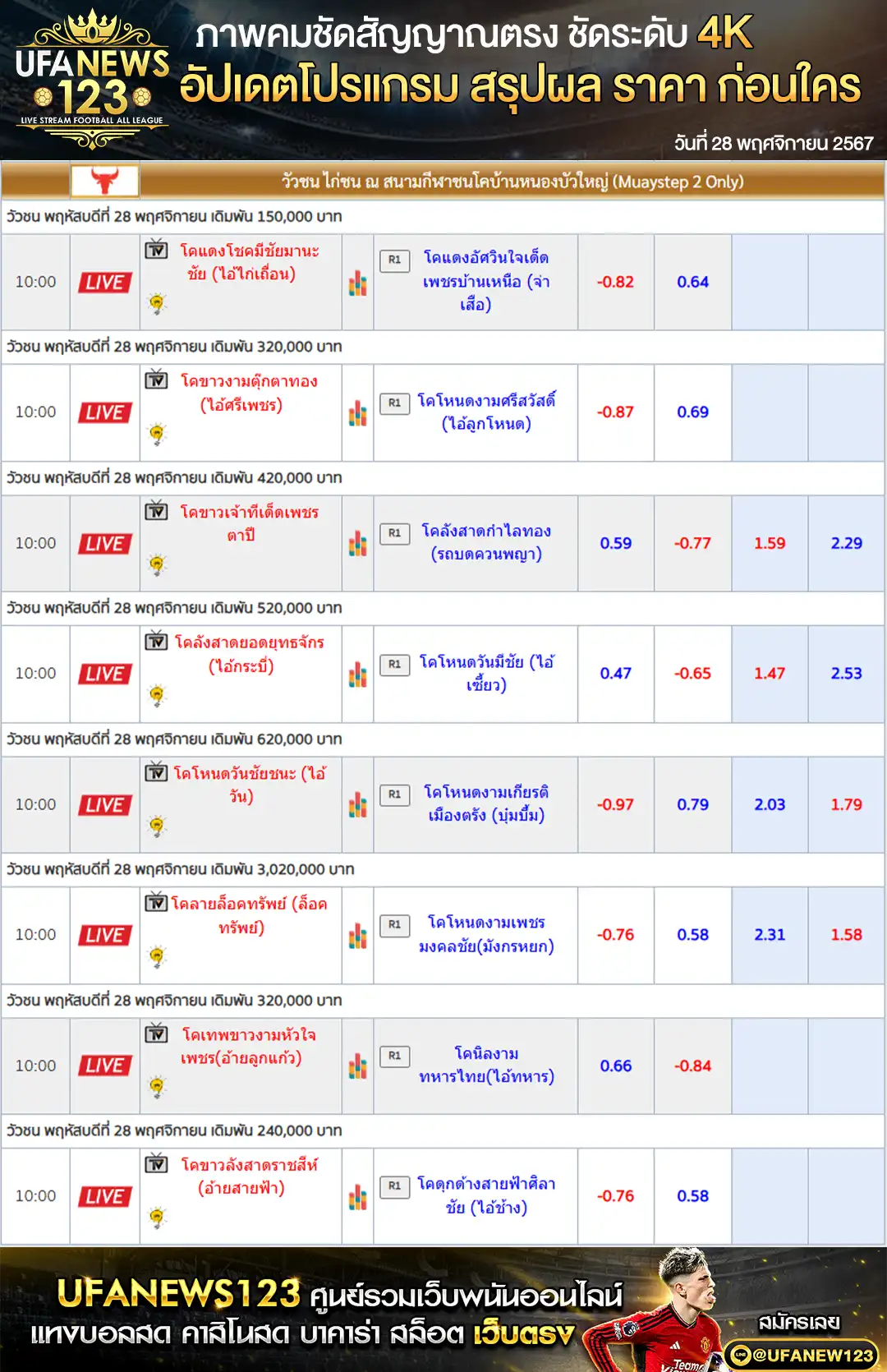 ราคาวัวชน สนามชนโคบ้านหนองบัวใหญ่ เริ่มชนเวลา 10.30 น. 28 พฤศจิกายน 2567