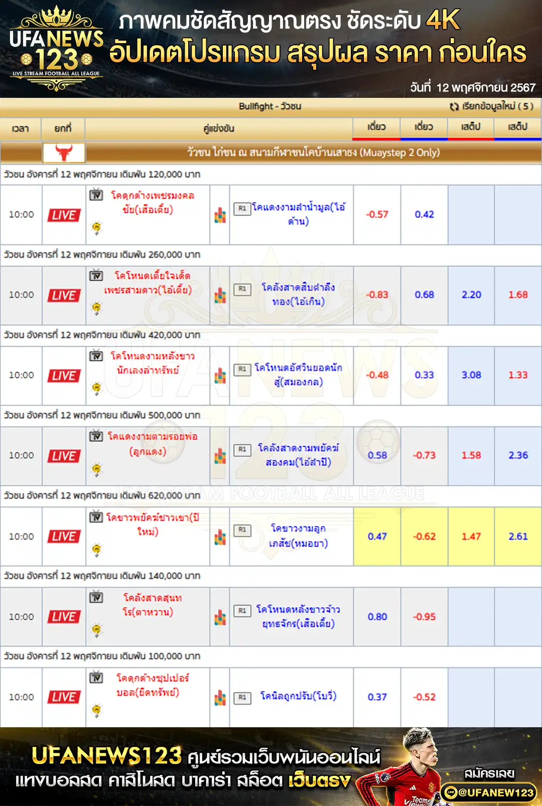 ราคาวัวชน สนามกีฬาชนโคสทิงพระอารีน่า เริ่มชนเวลา 10:00 น. 12 พฤศจิกายน 2567