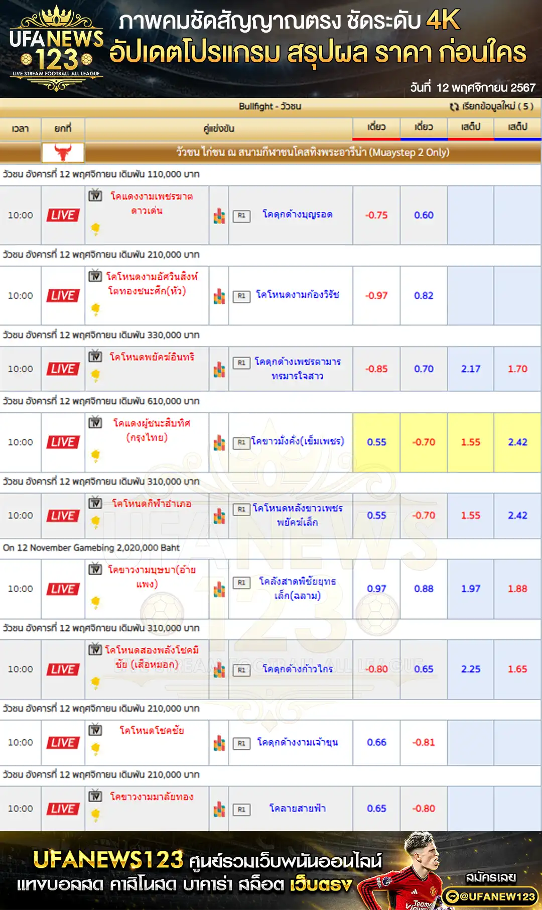 ราคาวัวชน สนามกีฬาชนโคสทิงพระอารีน่า เริ่มชนเวลา 10:00 น. 12 พฤศจิกายน 2567