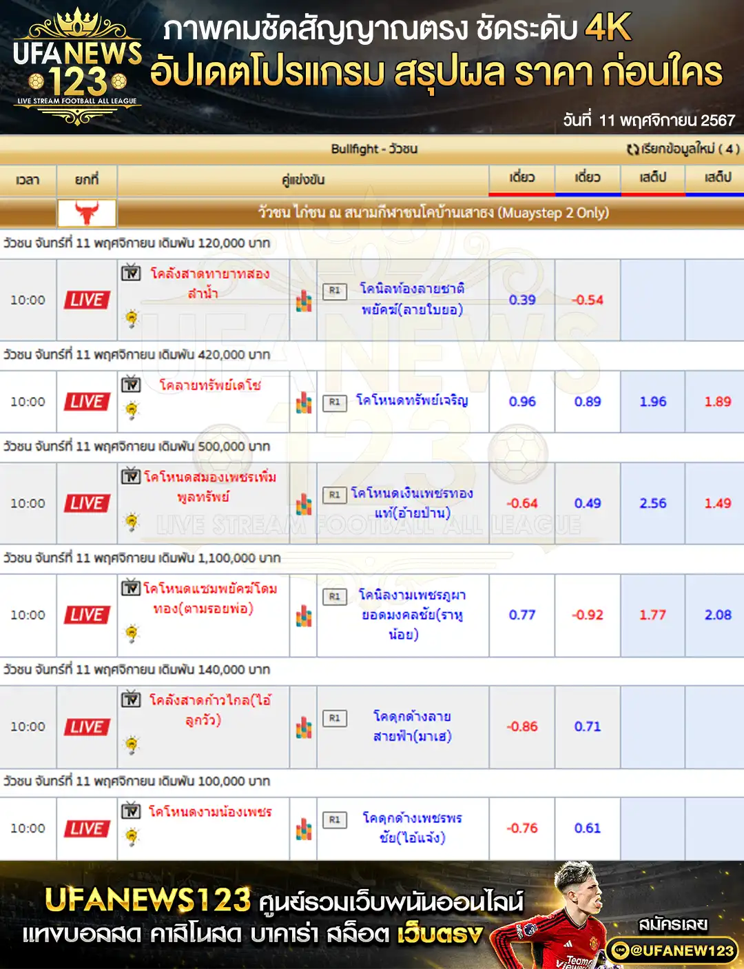 ราคาวัวชน สนามกีฬาชนโคเสาธงสเตเดี้ยม เริ่มชนเวลา 10:00 น.