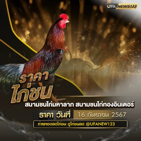 ราคาไก่ชน 16 พฤศจิกายน 2567