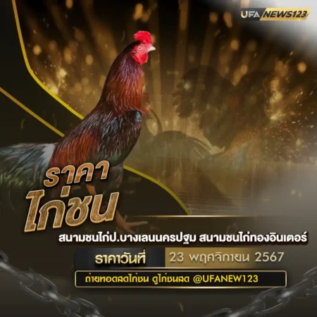 ราคาไก่ชน 23 พฤศจิกายน 2567