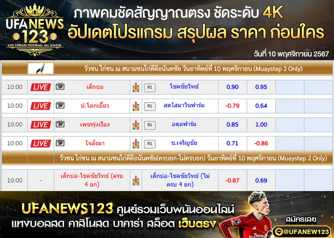 ราคาไก่ชน สนามชนไก่ดีดีอนันตชัย 10 พฤศจิกายน 2567