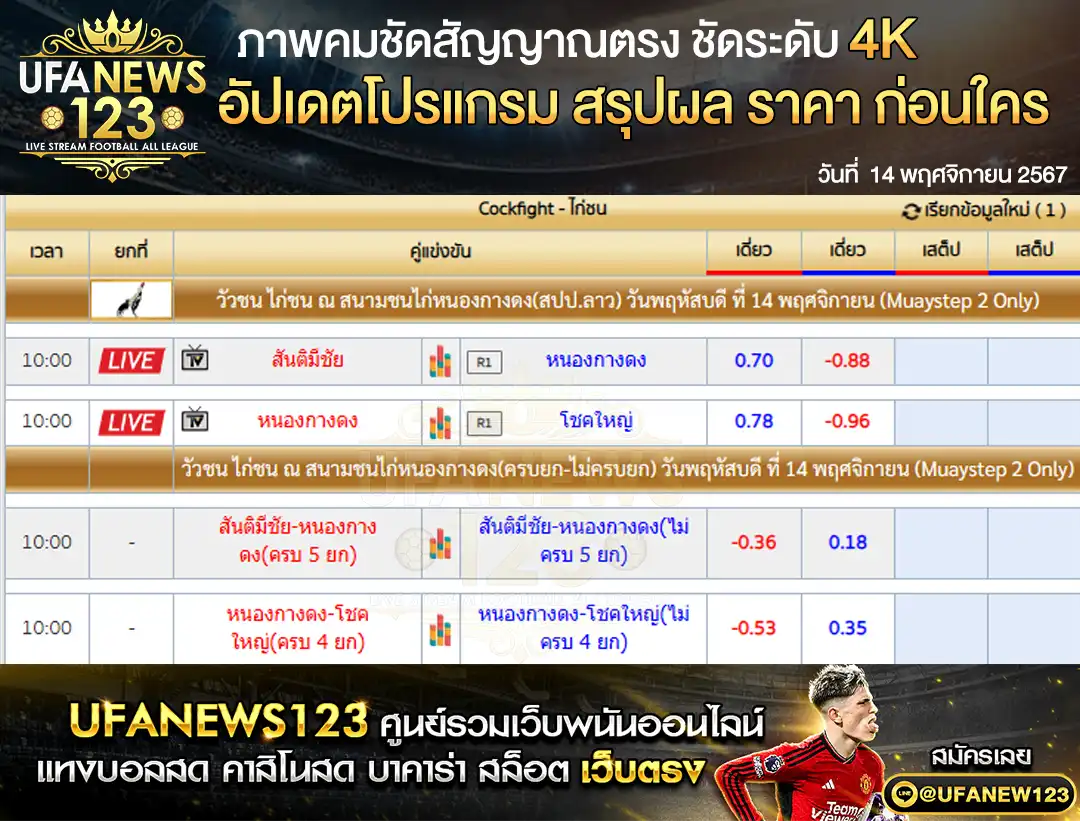 ราคาไก่ชน สนามชนไก่หนองกางดง 14 พฤศจิกายน 2567