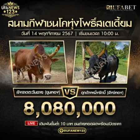 ย้อนหลังวัวชน ลังสาดตะวันฉาย VS ดุกด้างหนึ่งในรักบี้ 14 พฤศจิกายน 2567