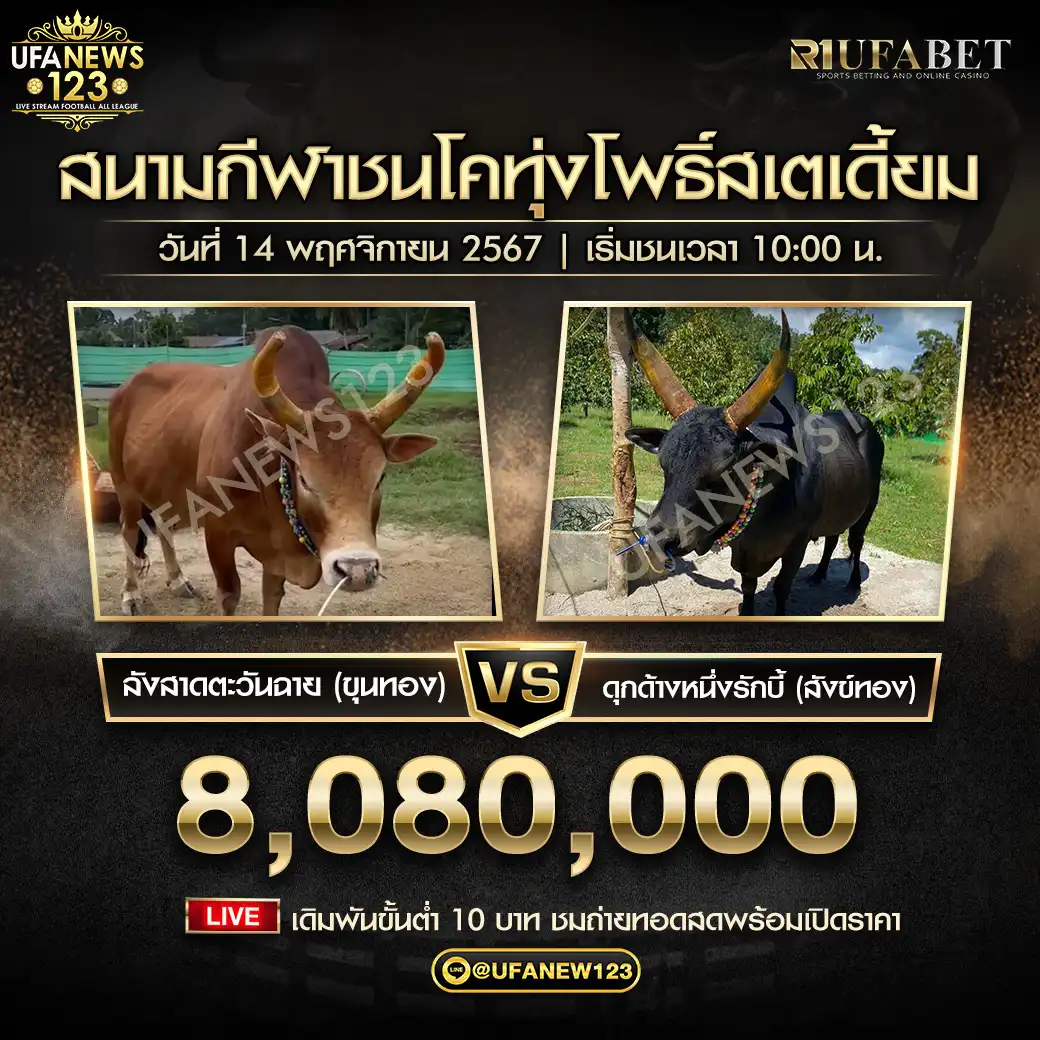 ลังสาดตะวันฉาย (ขุนทอง) VS ดุกด้างหนึ่งในรักบี้ (สังข์ทอง) ชิงรางวัล 8,080,000 บาท 14 พฤศจิกายน 2567