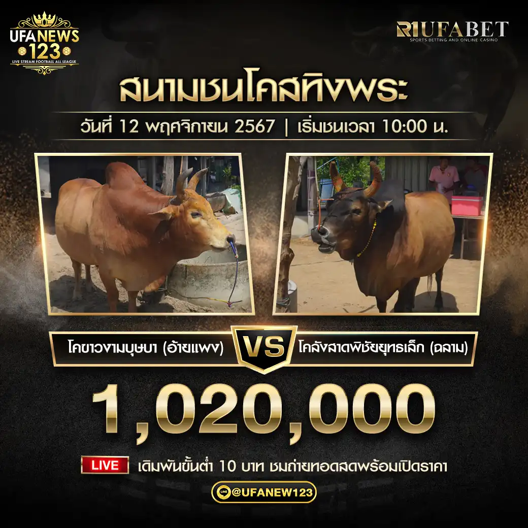 ลังสาดพิชัยยุทธเล็ก (ฉลาม) VS ขาวงามบุษบา (อ้ายแพง) ชิงรางวัล 1,020,000 บาท 11 พฤศจิกายน 2567