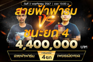 เทปไก่ชน สายฟ้าฟาร์ม VS เพชรเมืองชล 02 พฤศจิกายน 2567