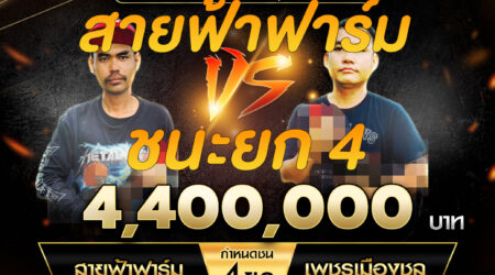 เทปไก่ชน สายฟ้าฟาร์ม VS เพชรเมืองชล 02 พฤศจิกายน 2567