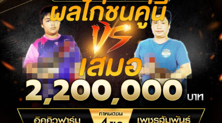 เทปไก่ชน อิคคิวฟาร์ม VS เพชรสัมพันธ์ 02 พฤศจิกายน 2567