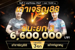 เทปไก่ชน เก้าเจริญ88 VS แก๊งค์ลูกหมู 02 พฤศจิกายน 2567