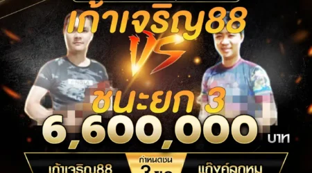 เทปไก่ชน เก้าเจริญ88 VS แก๊งค์ลูกหมู 02 พฤศจิกายน 2567