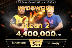 เทปไก่ชน โชคดาราฉาย VS เพชรพลูสุข 16 พฤศจิกายน 2567