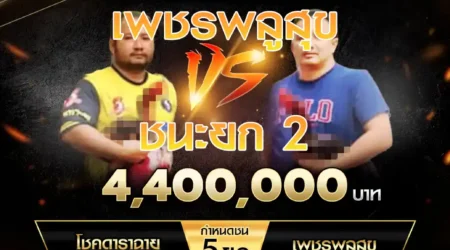 เทปไก่ชน โชคดาราฉาย VS เพชรพลูสุข 16 พฤศจิกายน 2567