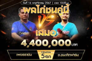 เทปไก่ชน เพชรราชัน VS ช.ชนะศึกฟาร์ม 16 พฤศจิกายน 2567