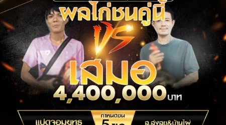 เทปไก่ชน แปดจอมยุทธ VS ส.ส่งสุข&บ้านไผ่ 09 พฤศจิกายน 2567