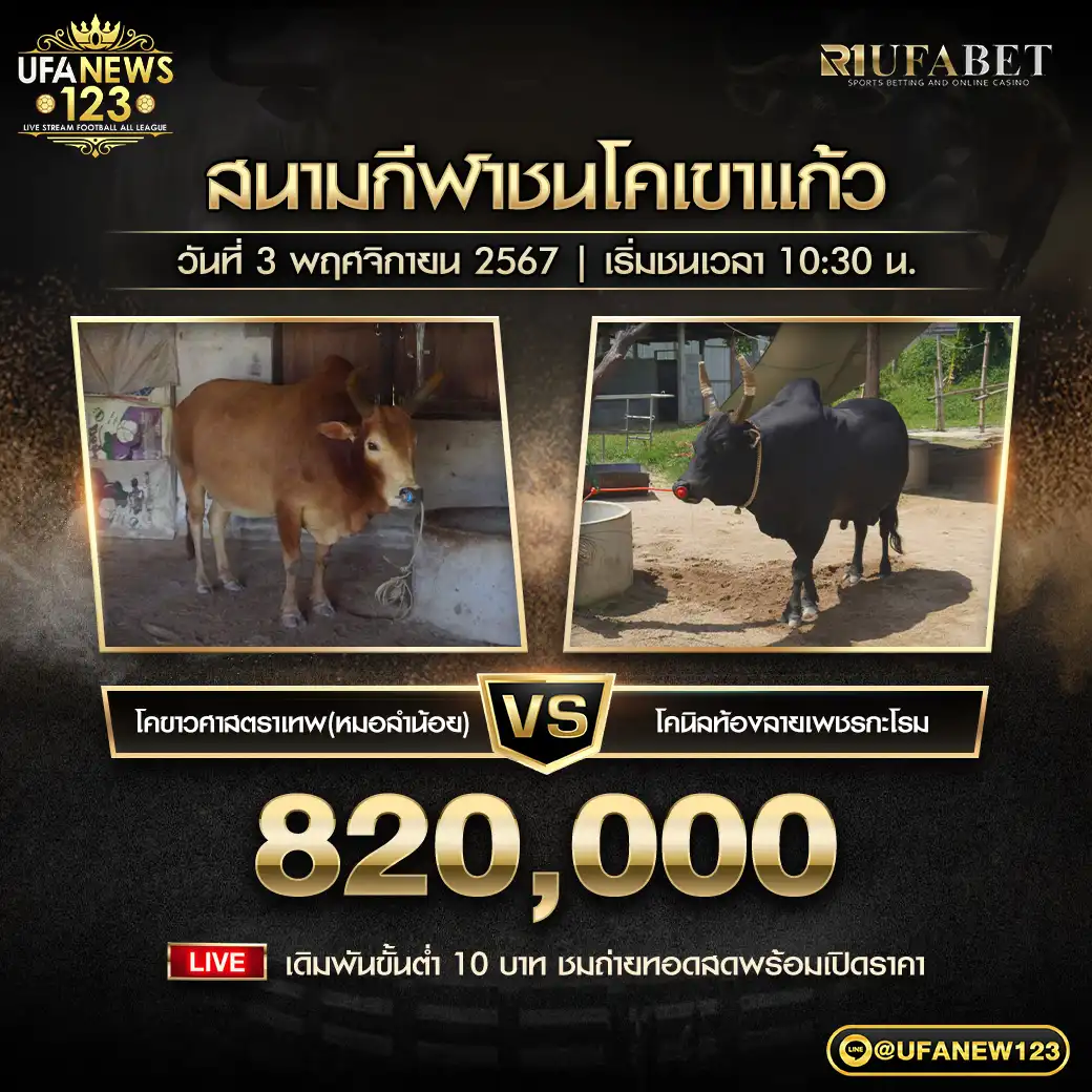 โคขาวศาสตราเทพ (หมอลำน้อย) VS โคนิลท้องลายเพชรกะโรม ชิงรางวัล 820,000 บาท