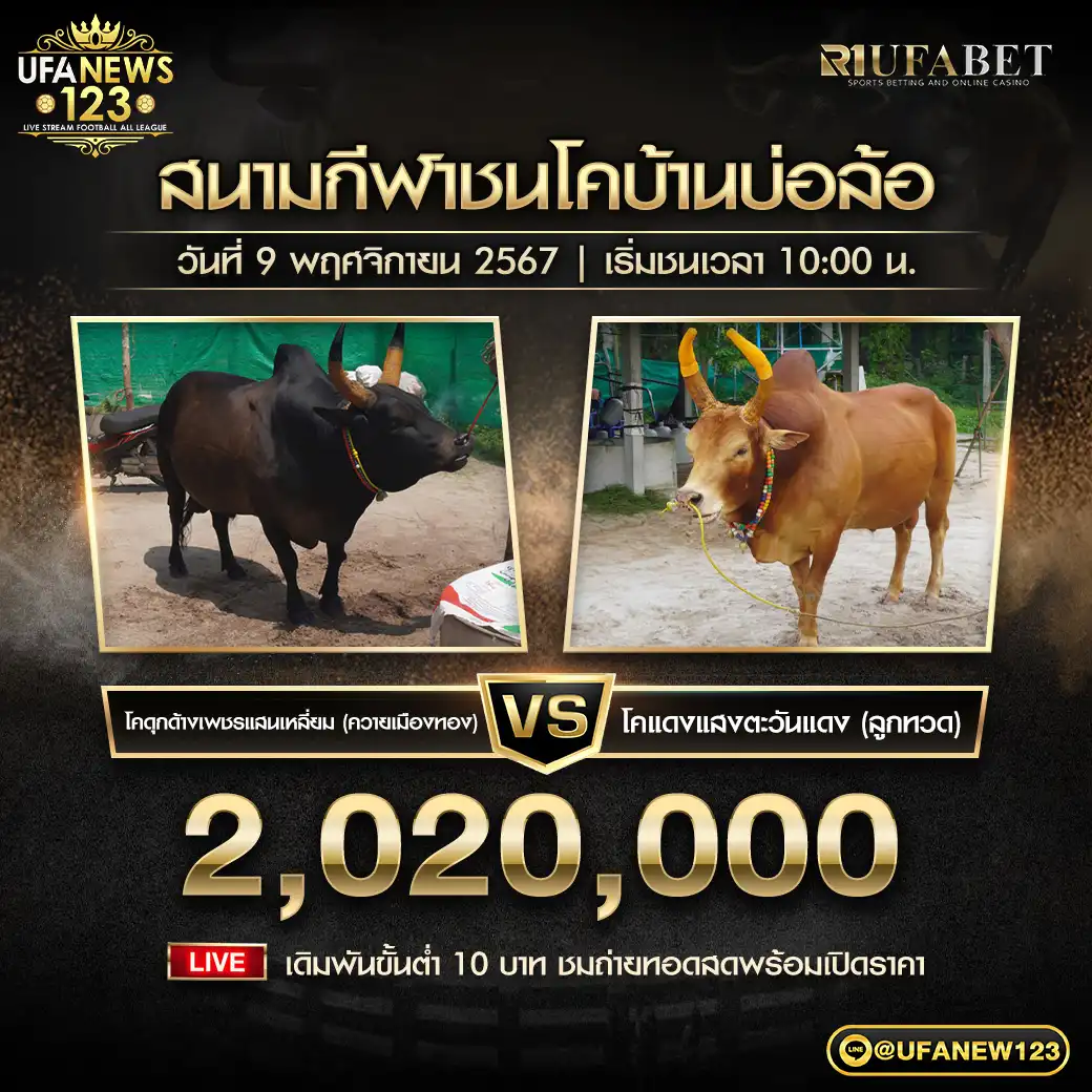 โคดุกด้างเพชรแสนเหลี่ยม (ควายเมืองทอง) VS โคแดงแสงตะวันแดง (ลูกทวด) ชิงรางวัล 2,020,000 บาท