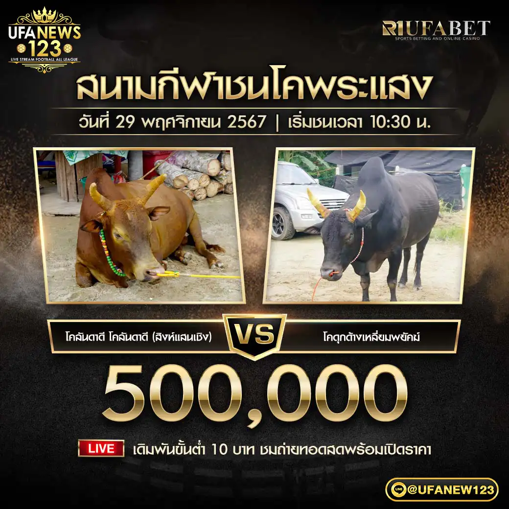 โคลันดาดี โคลันดาดี (สิงห์แสนเชิง) VS โคดุกด้างเหลี่ยมพยัคฆ์ ชิงรางวัล 500,000 บาท