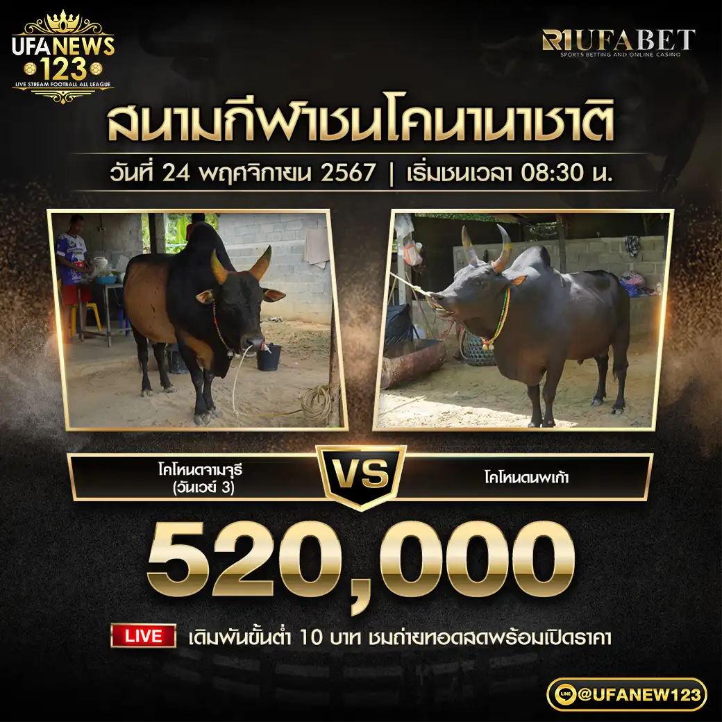 โคโหนดจามจุรี VS โคโหนดนพเก้า ชิงรางวัล 520,000 บาท