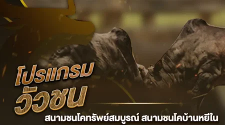 โปรแกรมวัวชน 04 พฤศจิกายน 2567