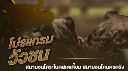 โปรแกรมวัวชน 05 พฤศจิกายน 2567