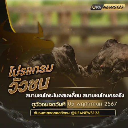 โปรแกรมวัวชน 05 พฤศจิกายน 2567