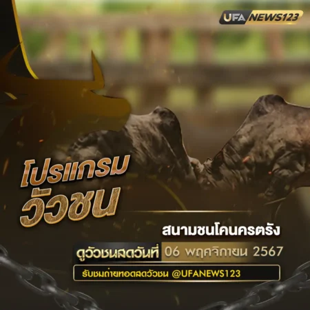 โปรแกรมวัวชน 06 พฤศจิกายน 2567