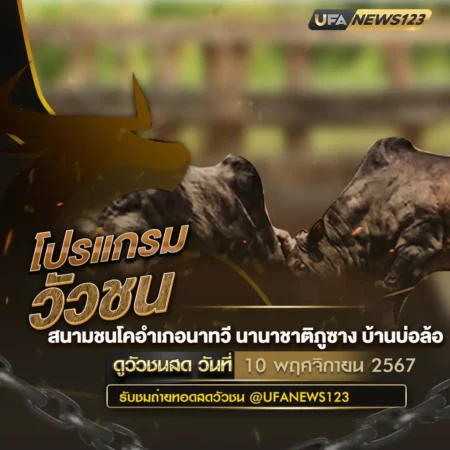 โปรแกรมวัวชน 10 พฤศจิกายน 2567