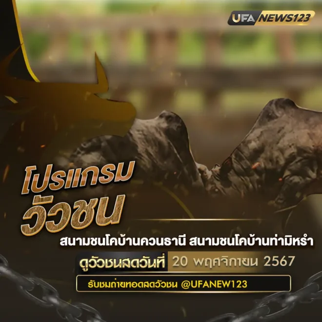 โปรแกรมวัวชน 20 พฤศจิกายน 2567