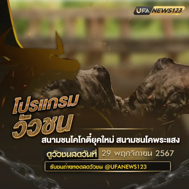 โปรแกรมวัวชน 29 พฤศจิกายน 2567