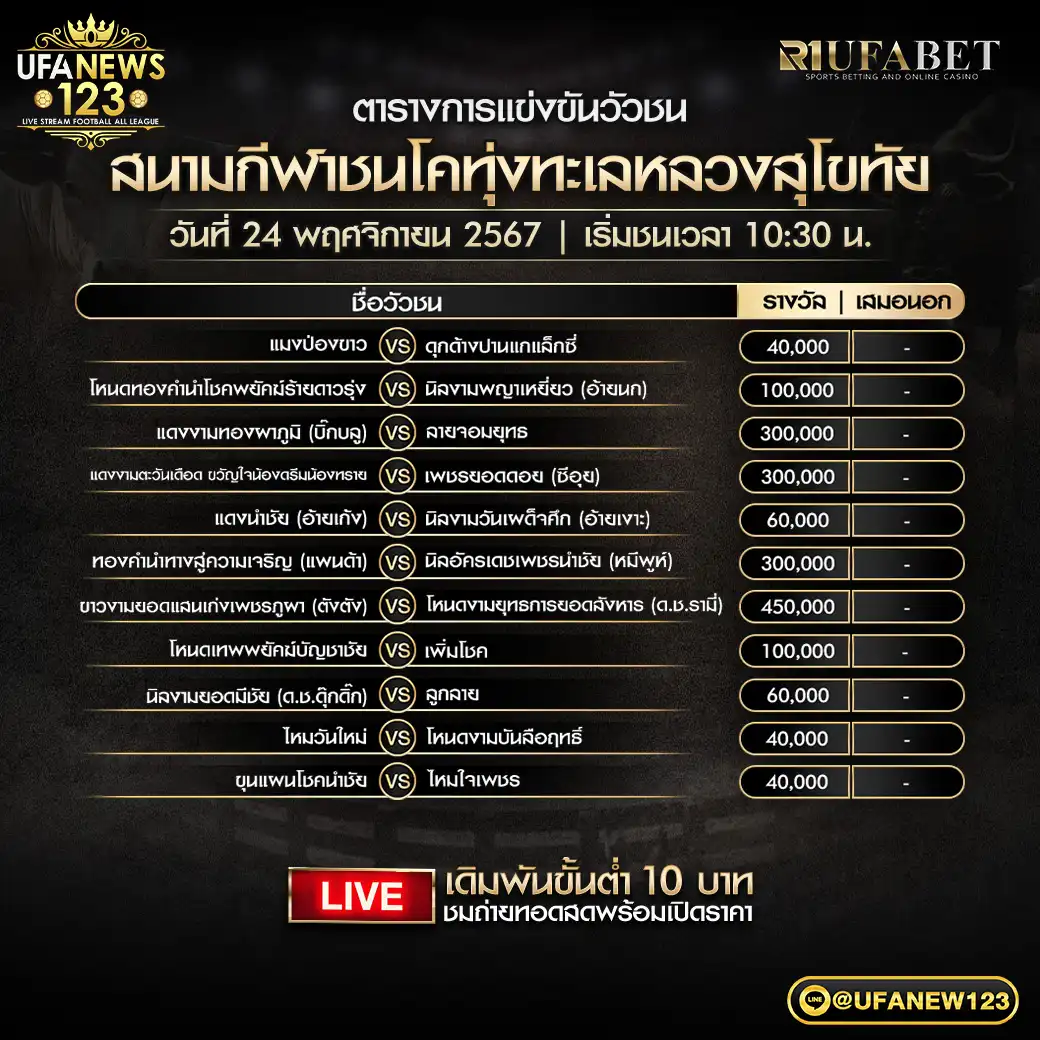 โปรแกรมวัวชน สนามชนโคทุ่งทะเลหลวงสุโขทัย เริ่มชนเวลา 10.30 น. 24 พฤศจิกายน 2567