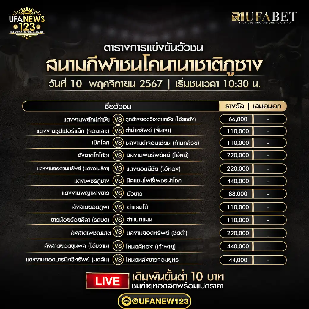 โปรแกรมวัวชน สนามกีฬาชนโคนานาชาติภูซาง เริ่มชนเวลา 10:30 น. 10 พฤศจิกายน 2567