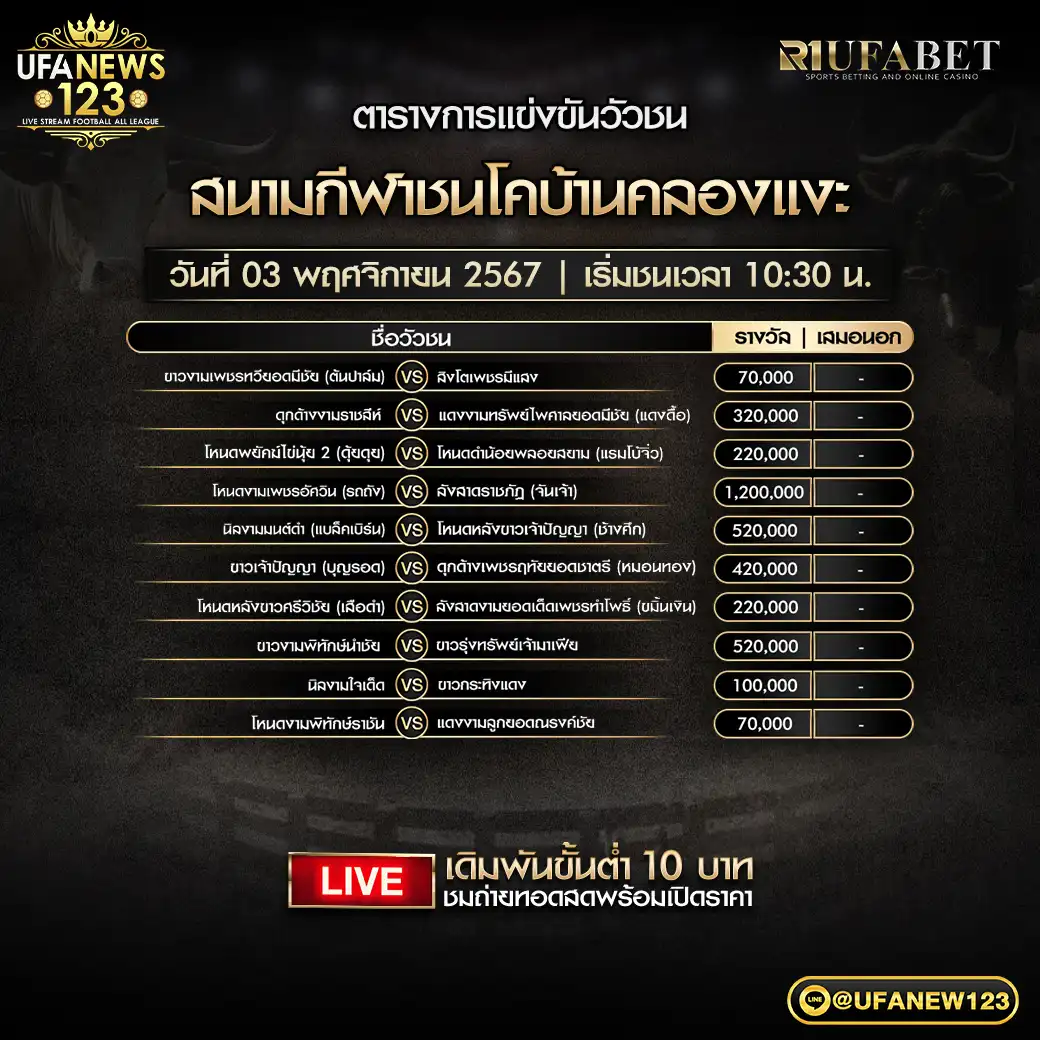 โปรแกรมวัวชน สนามชนโคบ้านคลองแงะ เริ่มชนเวลา 10.30 น. 03 พฤศจิกายน 2567