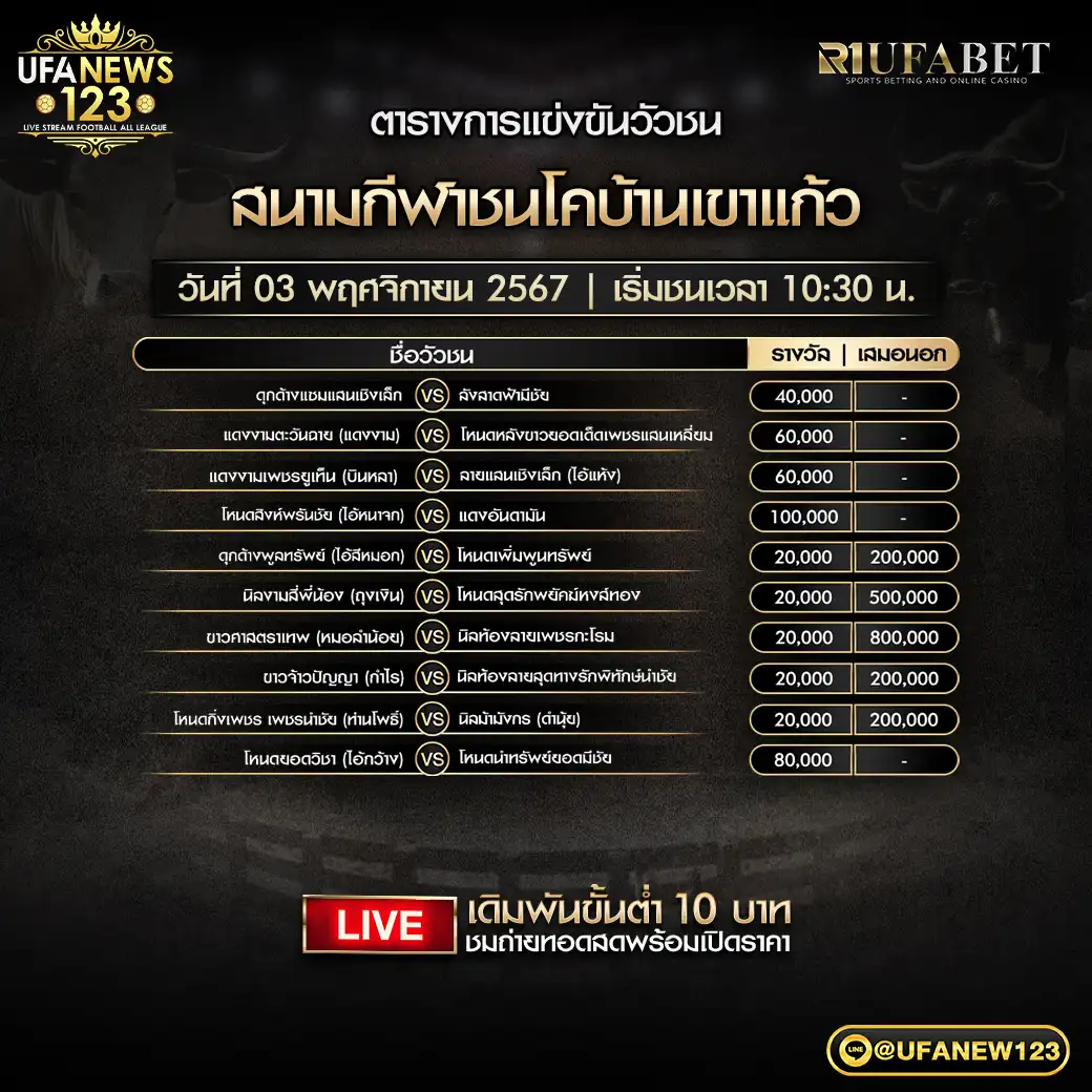 โปรแกรมวัวชน สนามชนโคบ้านเขาแก้ว เริ่มชนเวลา 10.30 น. 03 พฤศจิกายน 2567