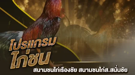 โปรแกรมไก่ชน 01 ธันวาคม 2567