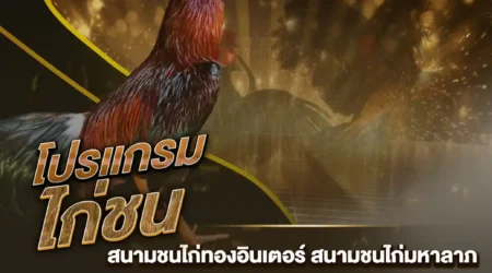 โปรแกรมไก่ชน 02 พฤศจิกายน 2567