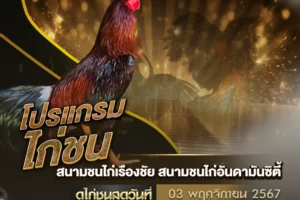 โปรแกรมไก่ชน 03 พฤศจิกายน 2567