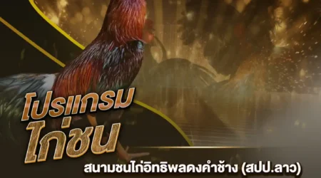 โปรแกรมไก่ชน 07 พฤศจิกายน 2567