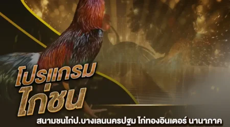 โปรแกรมไก่ชน 09 พฤศจิกายน 2567