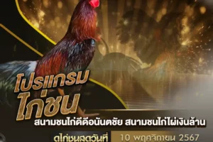 โปรแกรมไก่ชน 10 พฤศจิกายน 2567