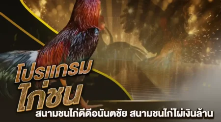 โปรแกรมไก่ชน 10 พฤศจิกายน 2567