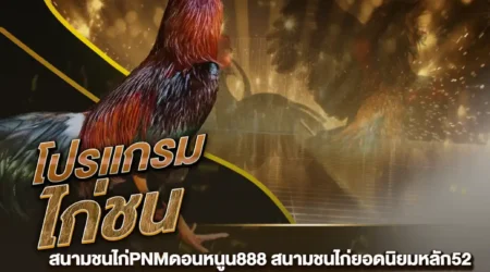 โปรแกรมไก่ชน 12 พศฤจิกายน 2567